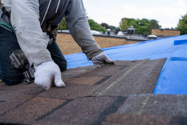 Best Roof Waterproofing Services  in Des Allemands, LA